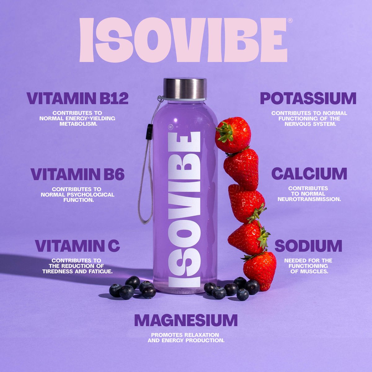 Mixed Berry Electrolytes Starter Kit - Isovibe